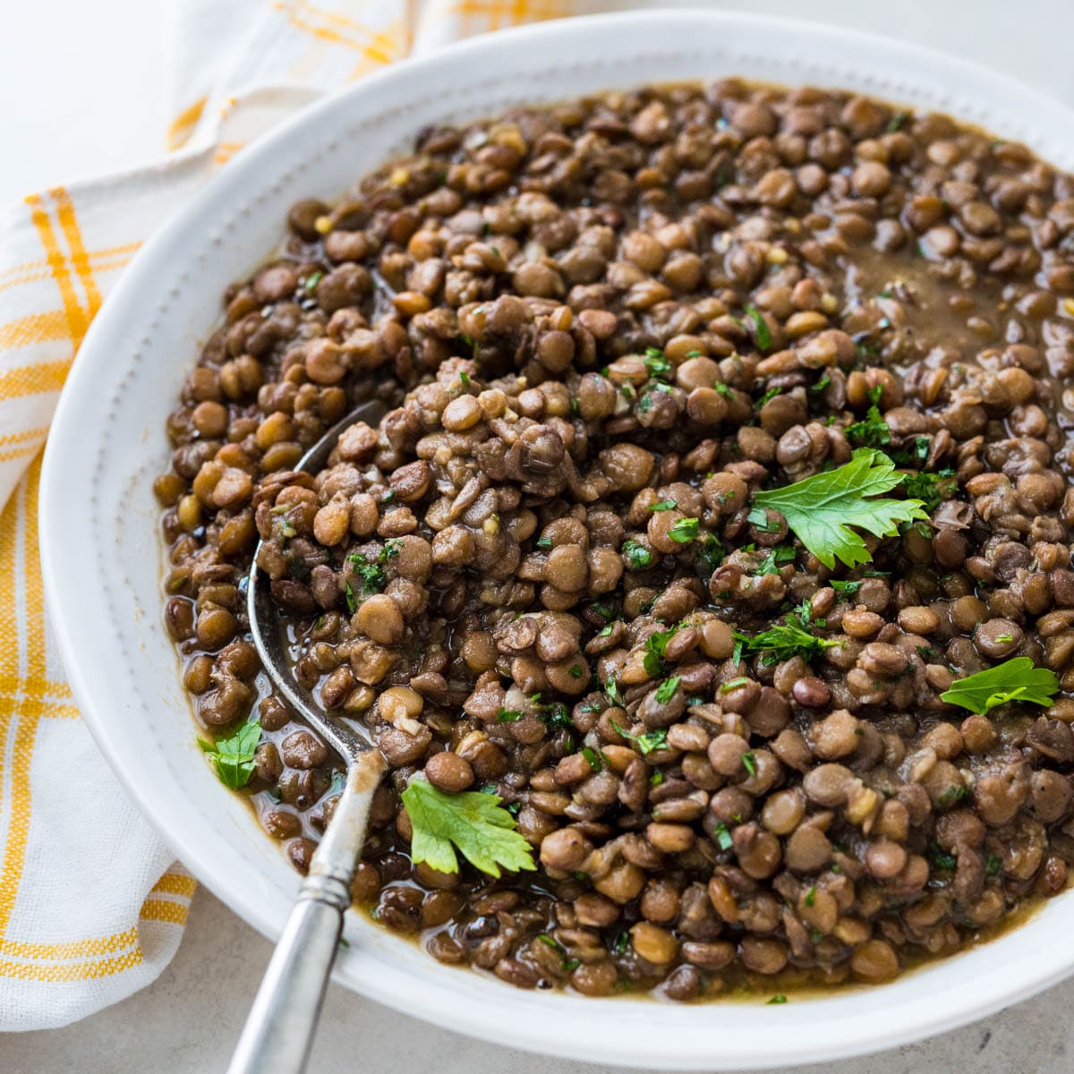 24 pounds Barber's Farms Green Lentils in 1 lb bags
